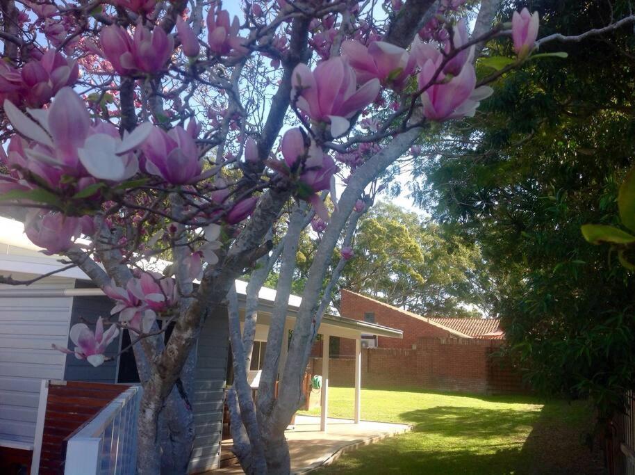 Magnolia Cottage Coffs Harbour Esterno foto