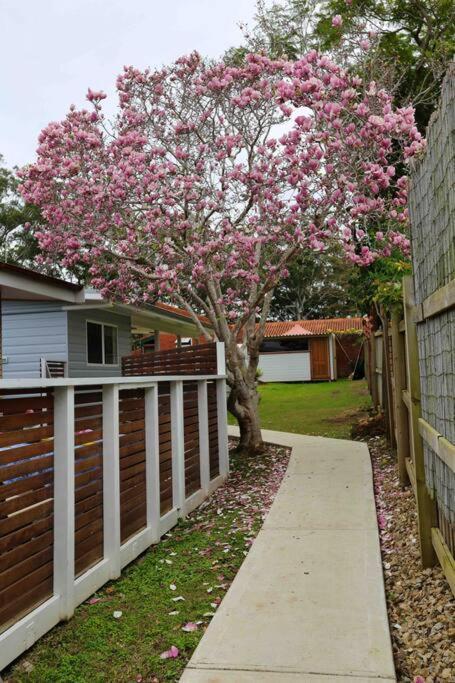 Magnolia Cottage Coffs Harbour Esterno foto