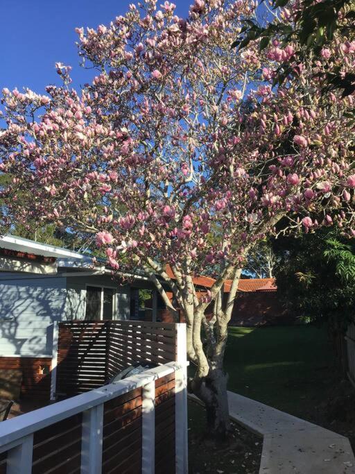 Magnolia Cottage Coffs Harbour Esterno foto